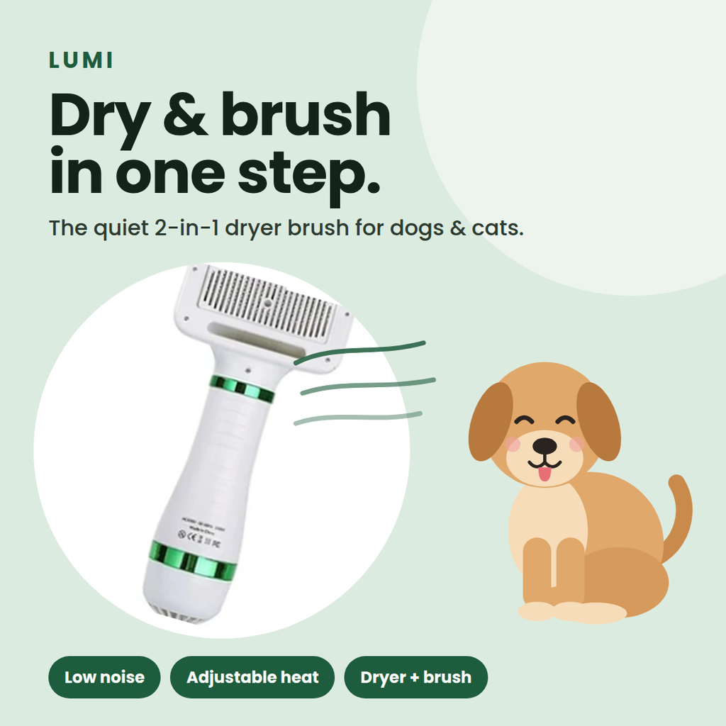 Quiet 2-in-1 Pet Hair Dryer & Grooming Brush